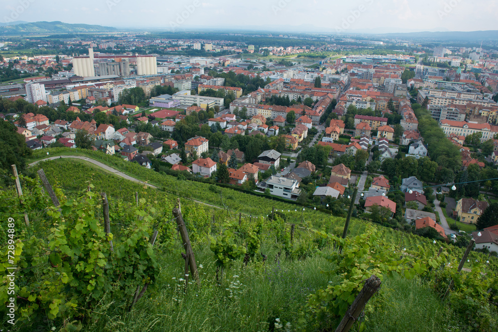 Fototapeta premium Piramida Hill in Maribor