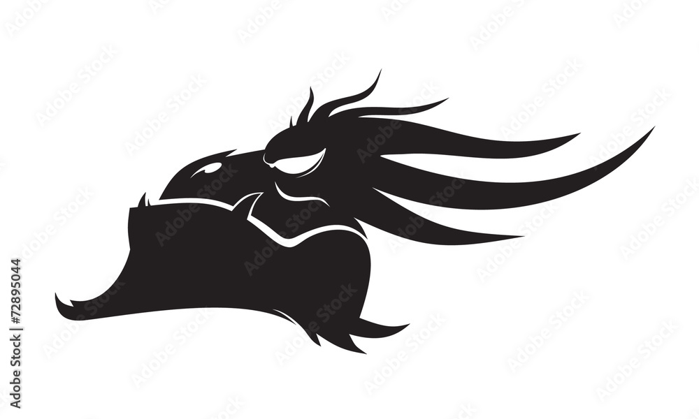 profile of dragon profile of dragon