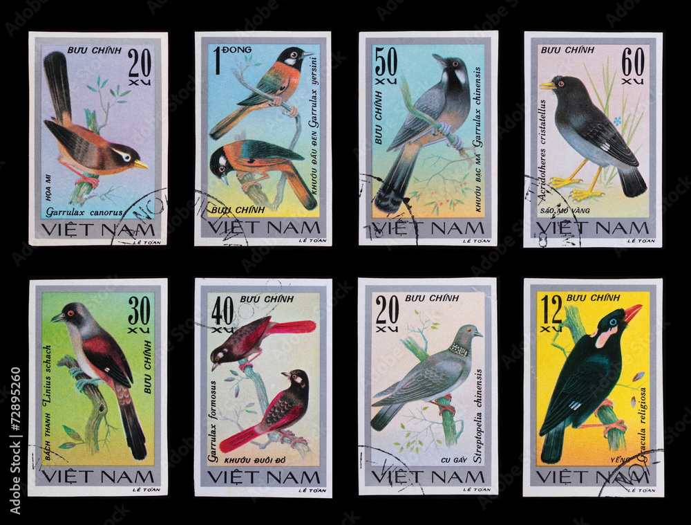 Post stamp. Birds