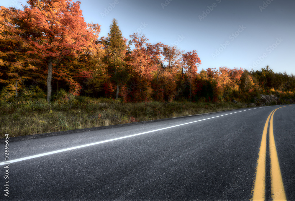 Fototapeta premium Autumn Colors and road