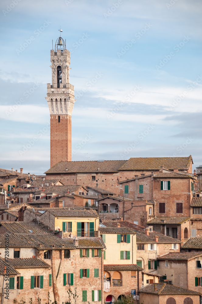 landscape of siena with tower of Mangia