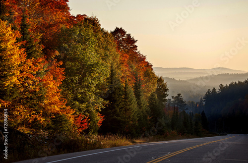 Autumn Colors and road