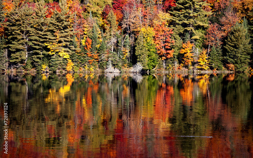 Lake in Autumn