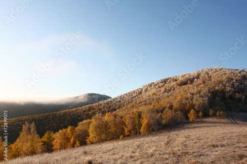 autumn forest and meadowland