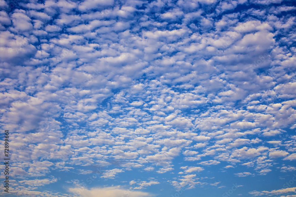 Fototapeta premium Blue Sky with Clouds.
