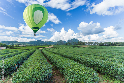 Hot air balloon over tea plantation