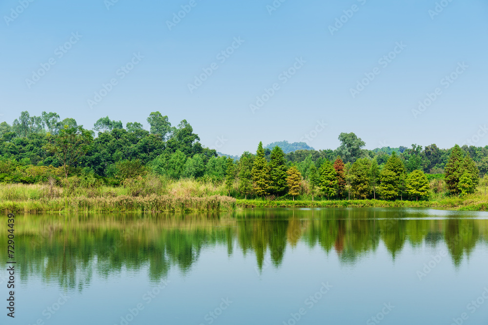 Fototapeta premium Wetland