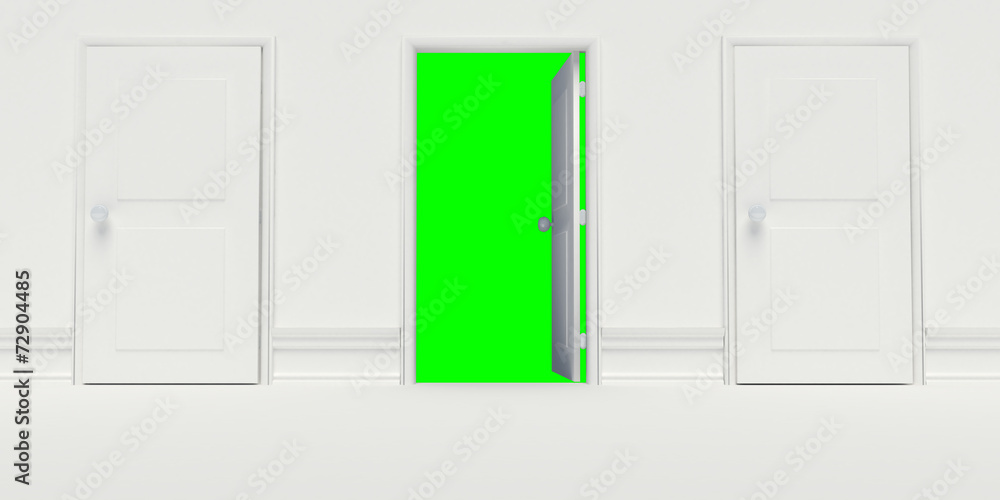 Open White Door on White Wall Open White Door on White Wall