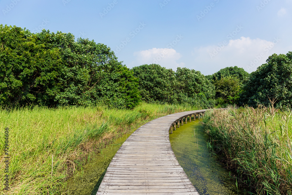 Wooden path in forest