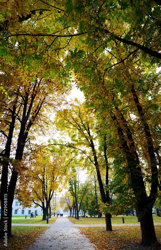 Walking in the park of Cathedral square in Vilnius city