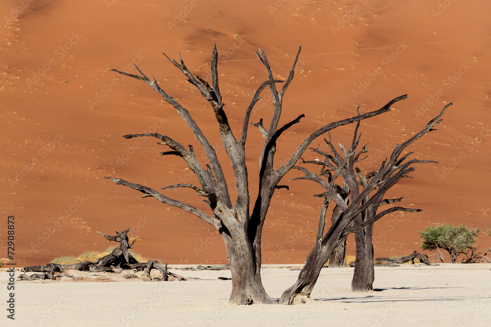 beautiful landscape of Hidden Vlei in Namib desert beautiful landscape of Hidden Vlei in Namib desert