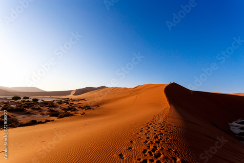 sand dunes at Sossusvlei  Namibia