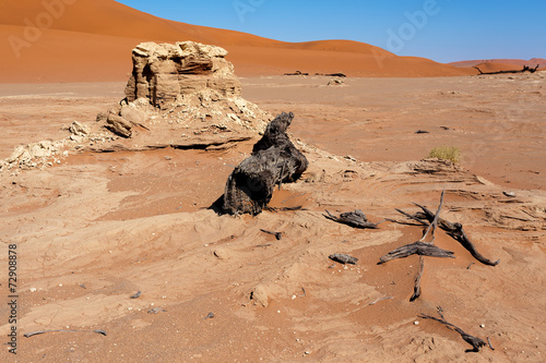 beautiful landscape of Hidden Vlei in Namib desert