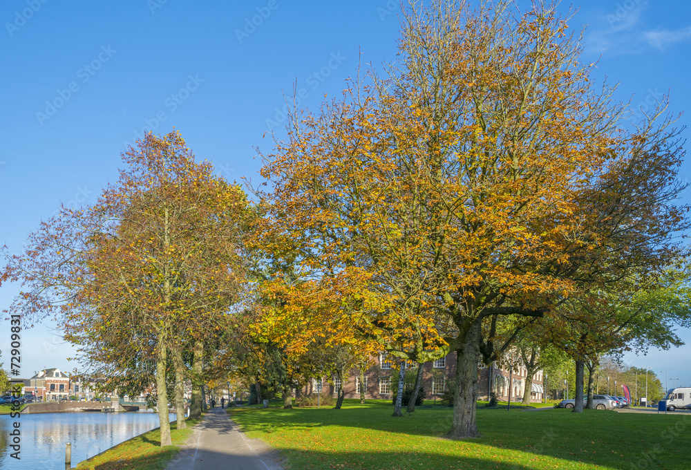 Walking in a sunny park in autumn