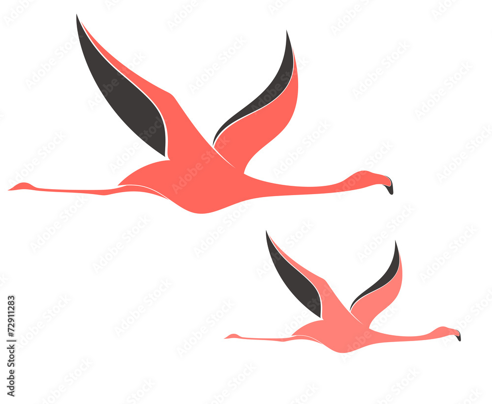 Obraz premium Flamingo