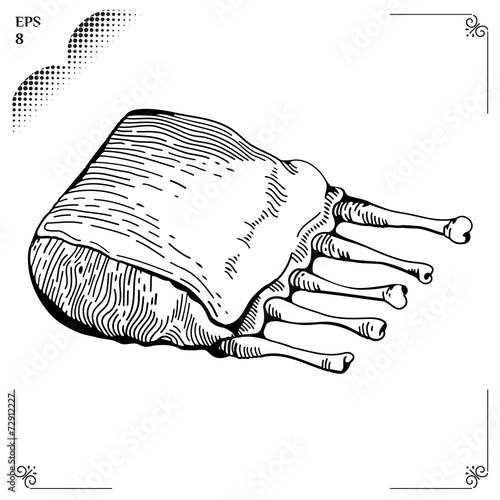Ribs cartoon illustration. Graphics  picture.
