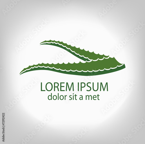 Aloe-vera. Leaf logo, concept, sign company.