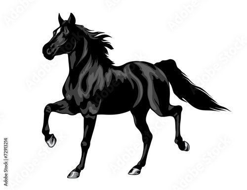 Fototapeta Naklejka Na Ścianę i Meble -  Black Horse