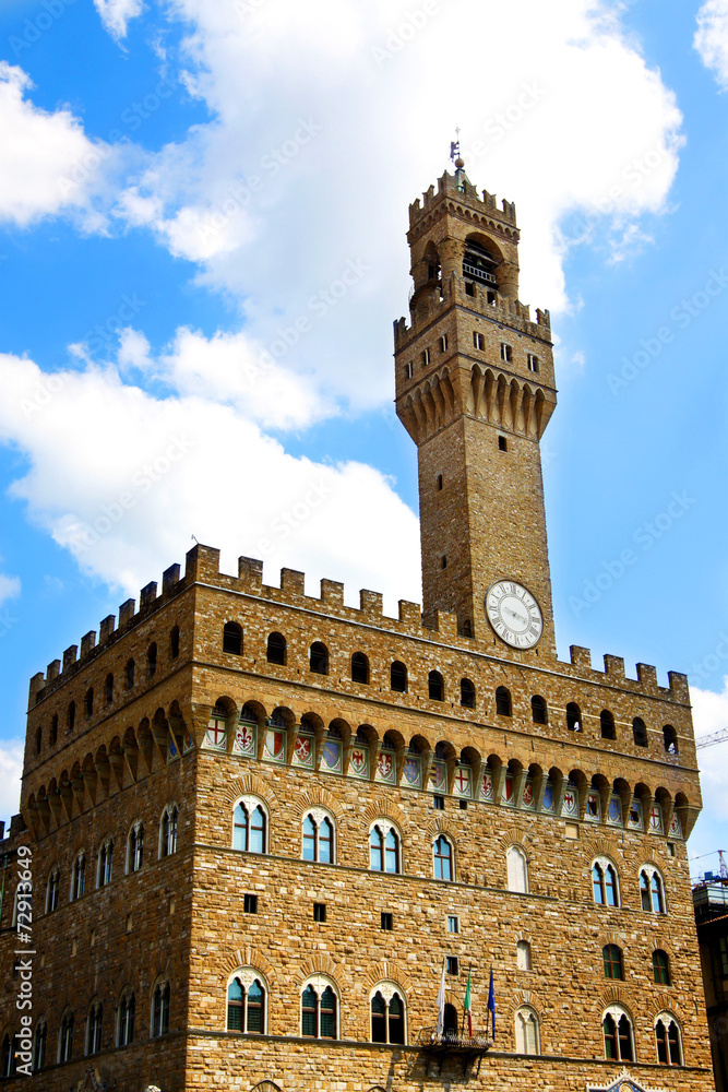 Piazza della Signoria. Florence, Italy