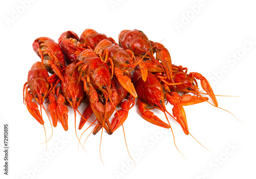 Schilderij op canvas boiled crawfish isolated on white