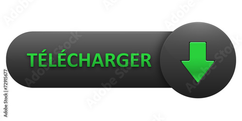Bouton Web "TELECHARGER" (download télécharger pdf vecteur)