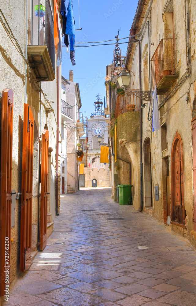 Fototapeta premium Alleyway. Acerenza. Basilicata. Italy.