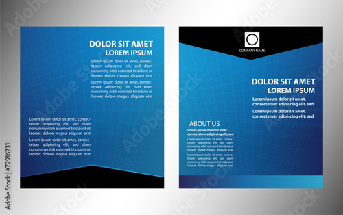Vector layout business flyer, magazine cover, template