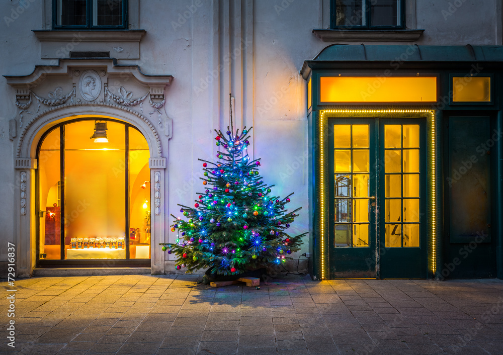 Obraz premium Christmas tree in Vienna