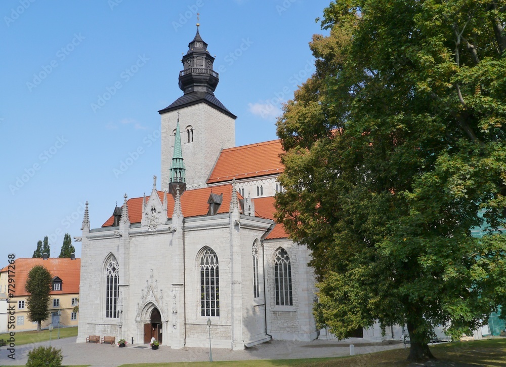 A detail of the saint Maria cathedral of Visby on Gotland