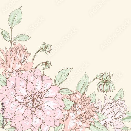 Fototapeta Naklejka Na Ścianę i Meble -  Dahlia background 4