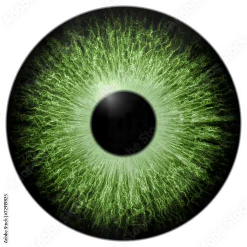 Illustration of green eye