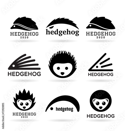 Hedgehogs (1)