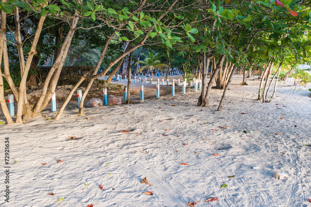 15 Mejores playas en Barbados 16
