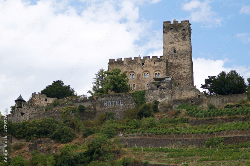 chateau de la vallée du Rhin