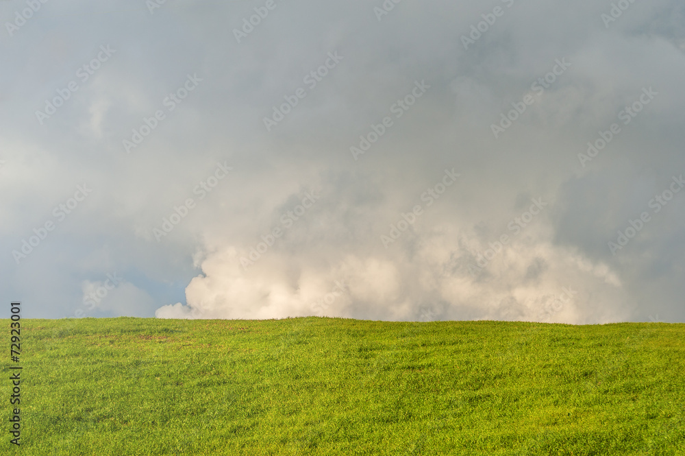 Green summer grass with angry clouds in the background Green summer grass with angry clouds in the background
