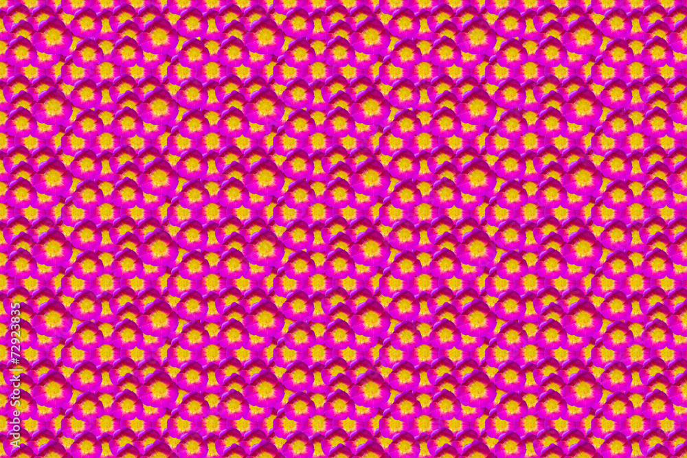 purple flower pattern background purple flower pattern background