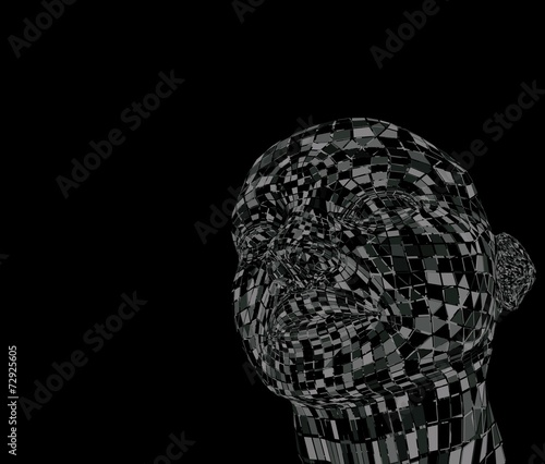 ポリゴンで出来た人の顔 Stock イラスト Adobe Stock
