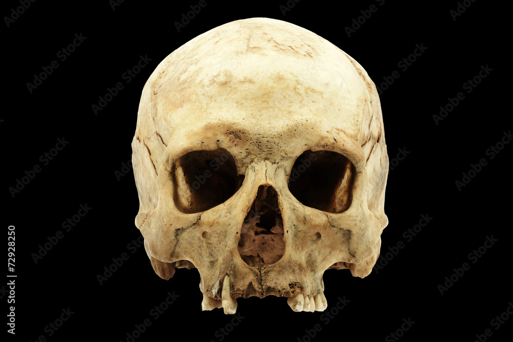 Genuine human skull isolated on black background Genuine human skull isolated on black background