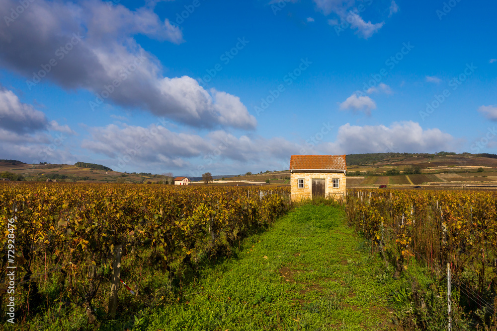 paysage bourguignon automnal paysage bourguignon automnal