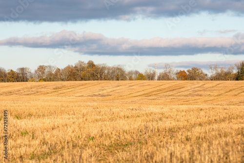 Autumn colored countryside landscape