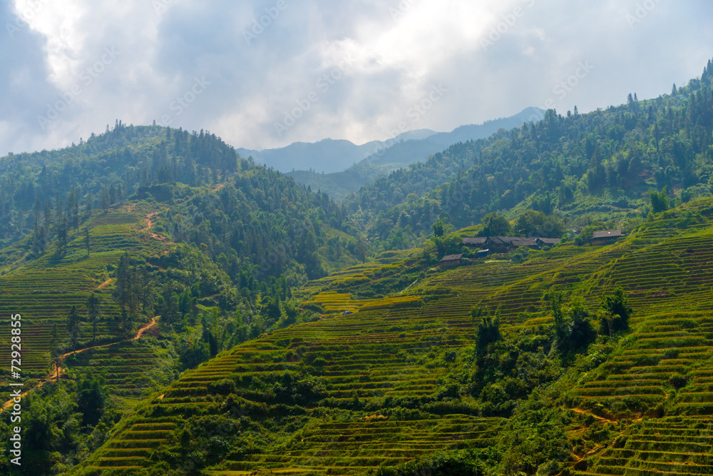 Obraz premium Beautiful View of mountains contain terraced fields