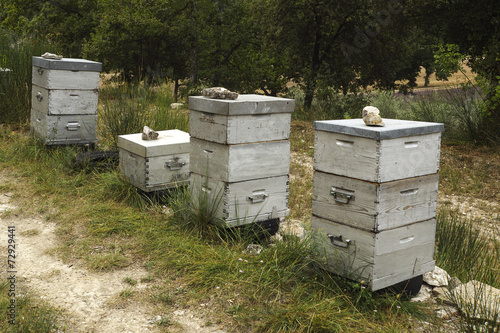 Bienenstöcke, Kloster Senanque, Provence © scimmery1