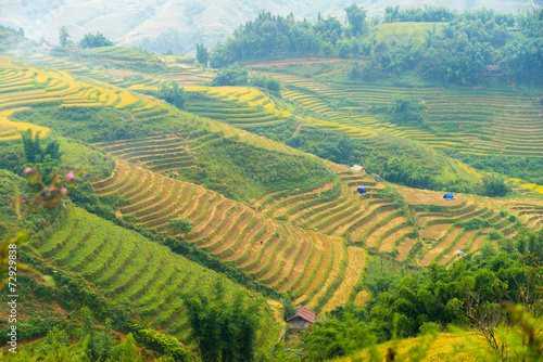 Beautiful View of mountains contain terraced fields