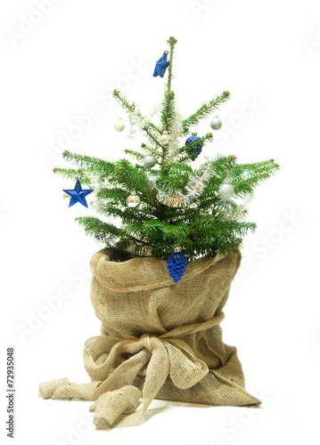 Weihnachtsbaum