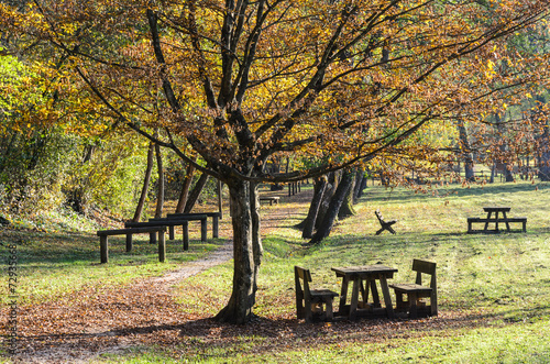 Parco_02