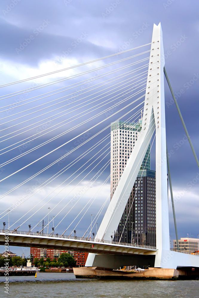 Obraz premium Erasmus Bridge in Rotterdam, the Netherlands