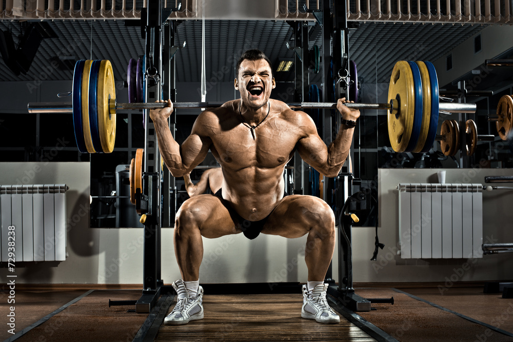 bodybuilder bodybuilder