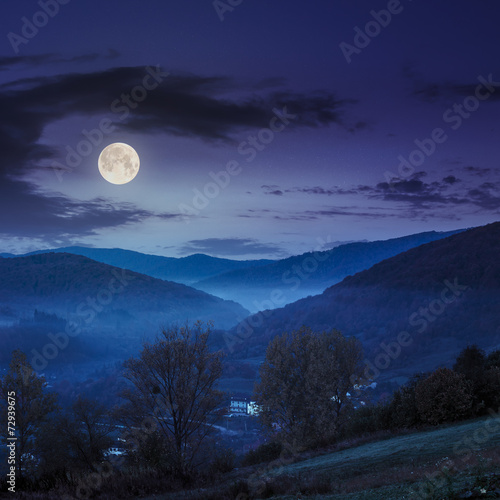 village on hillside meadow with forest in mountain at night © Pellinni