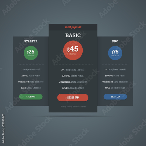 Pricing table template for hosting business with three plans. Ve
