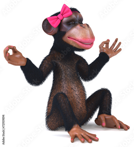 Photography Fun monkey